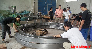 slewing bearing of offshore crane